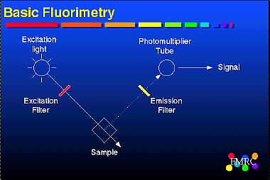 Basic Fluorimetry