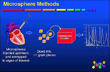 Microsphere Methods
