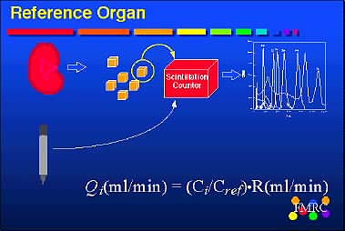 Reference organ methodology